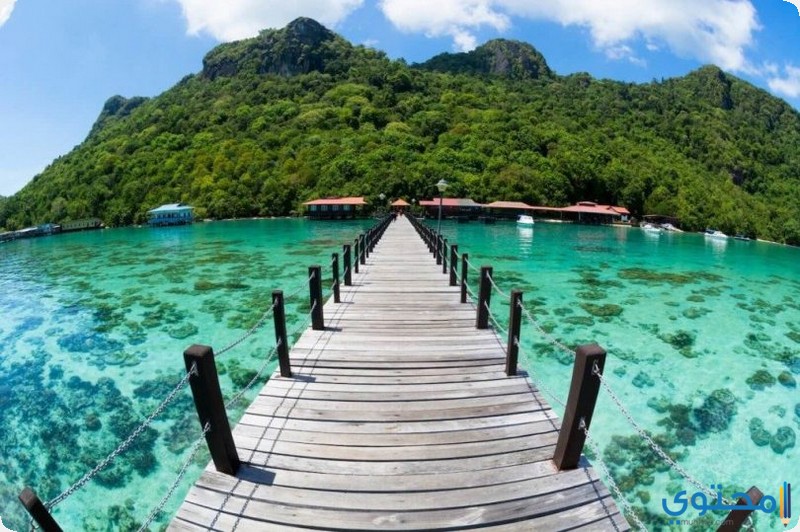 1732022024ماليزيا 2